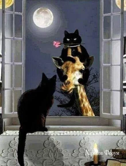 5b7efa15e537ebc93d.webp