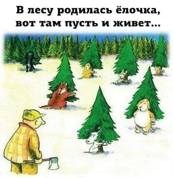 5ba371c572bf1e42b2.webp