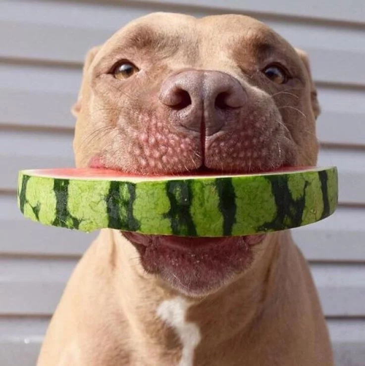 5ba5974c174689a5031f622c834dfcef.webp