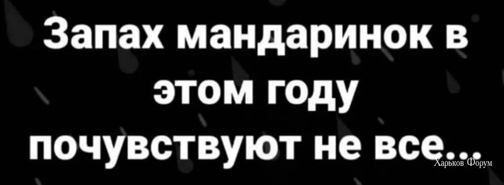 5ba9740d09cf0f8c2b.webp