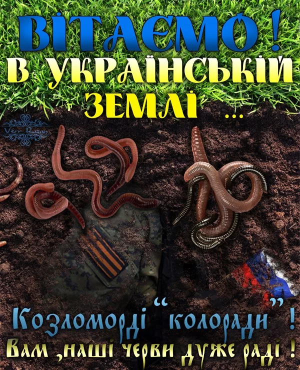 5baaga.webp