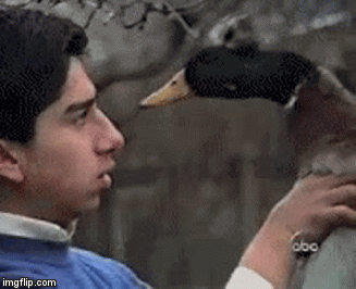 5bab07a97c4d8cb6a7.gif