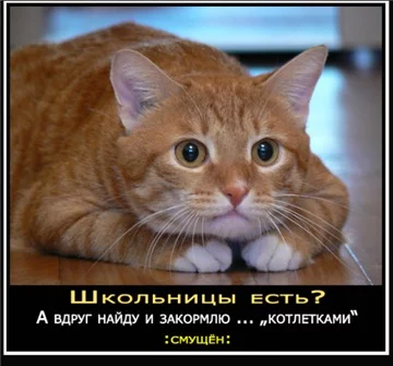 5bbabj.webp