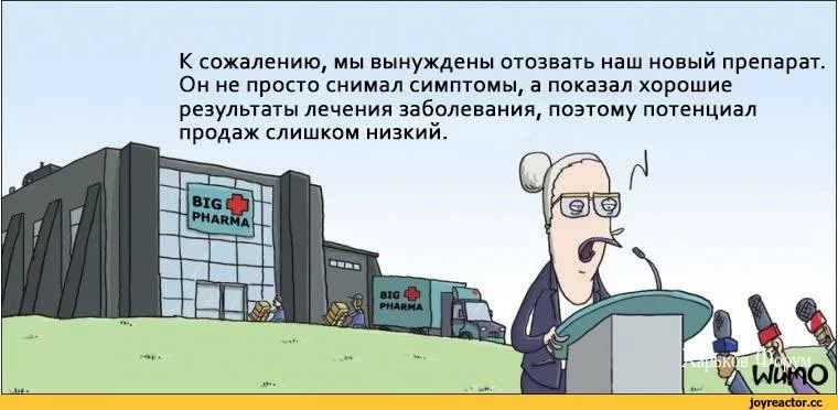 5bbb85ac903505ec8512.webp
