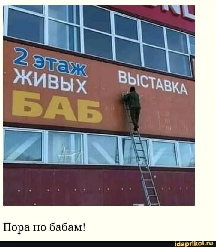 5bbc6b27835352c2d17.webp