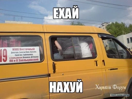 5bc13d5f9a376929f7.webp
