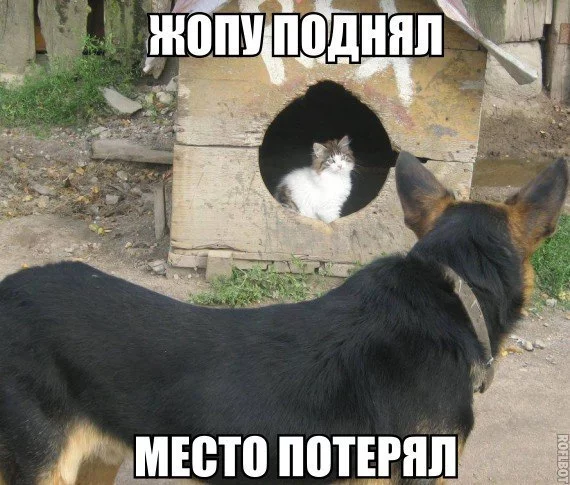5bchbf.webp
