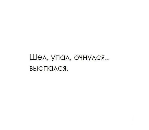 5bd7037cbcd9d6647395a.jpg