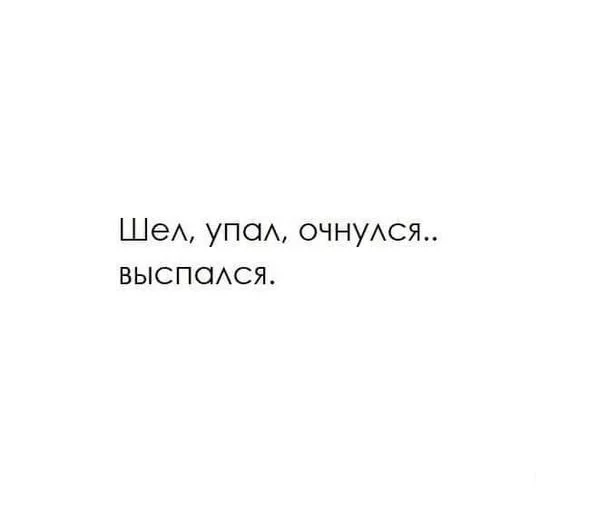 5bd7037cbcd9d6647395a.webp