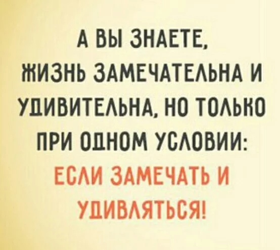 5beacb.webp