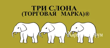 5beed08483353f74.webp