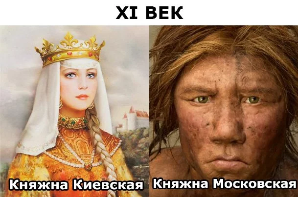 5bejgf.webp