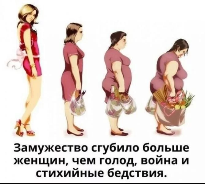 5bf822f4d9dbe057.webp