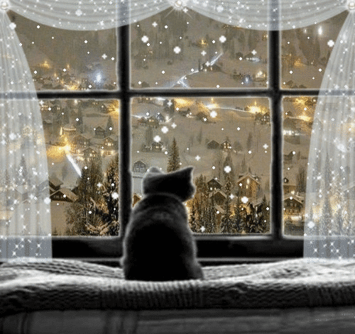 5c0e11b2ba3500929c5.gif