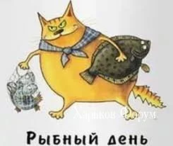 5c2915fc6d03aecf.webp