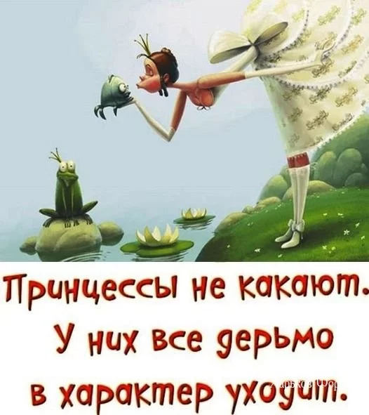 5c3944bf657c47488.webp