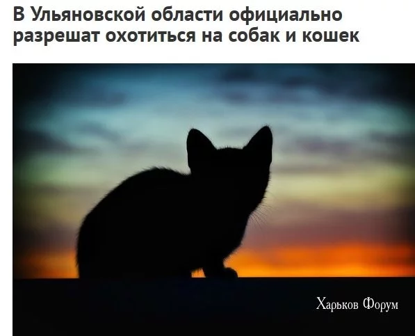 5c3d76617e879b28.webp