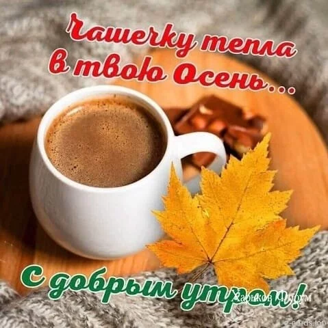 5c4529e36261f6f177c7c64a.webp