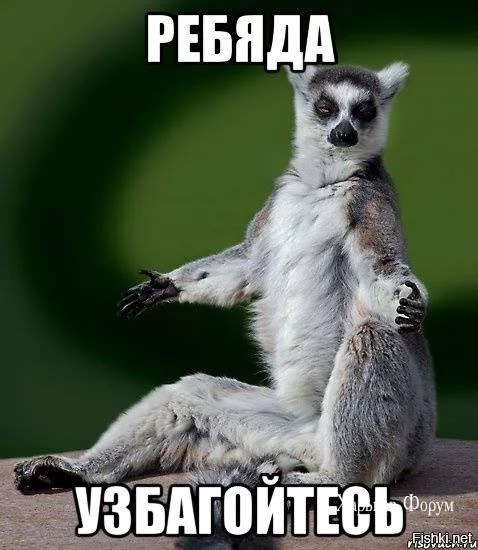 5c59642e0db72323754a1.webp