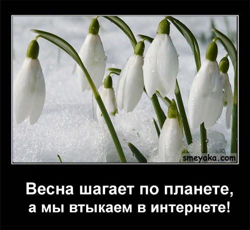5c72d141fd48e613a29b5c210f498924.jpg