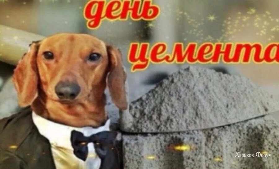 5c731cfb71ec40c604a2ea.webp