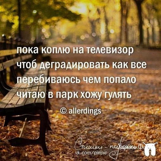 5c73dd686cbef9723ed6e.webp