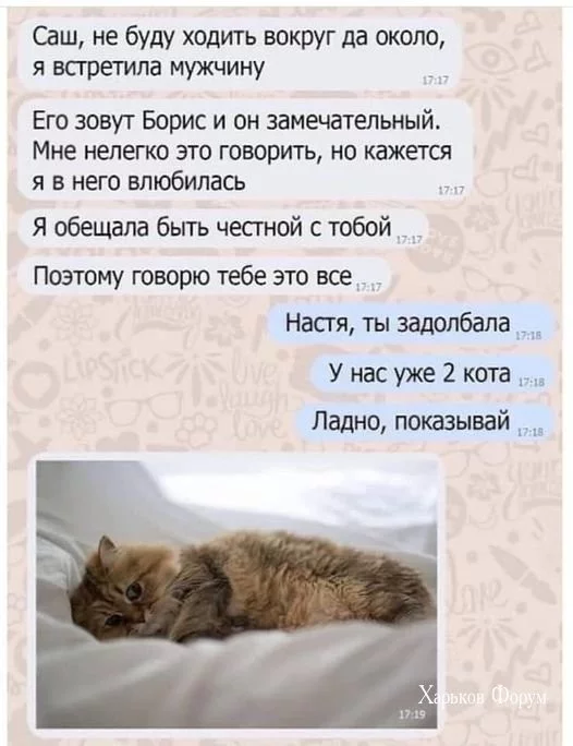 5c74ce8dcc4162c623ff.webp