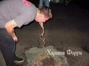 5c8046ca4d7fb222.webp