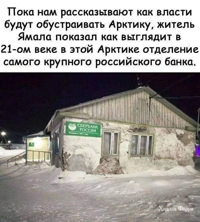 5c998b1a60278f89.webp