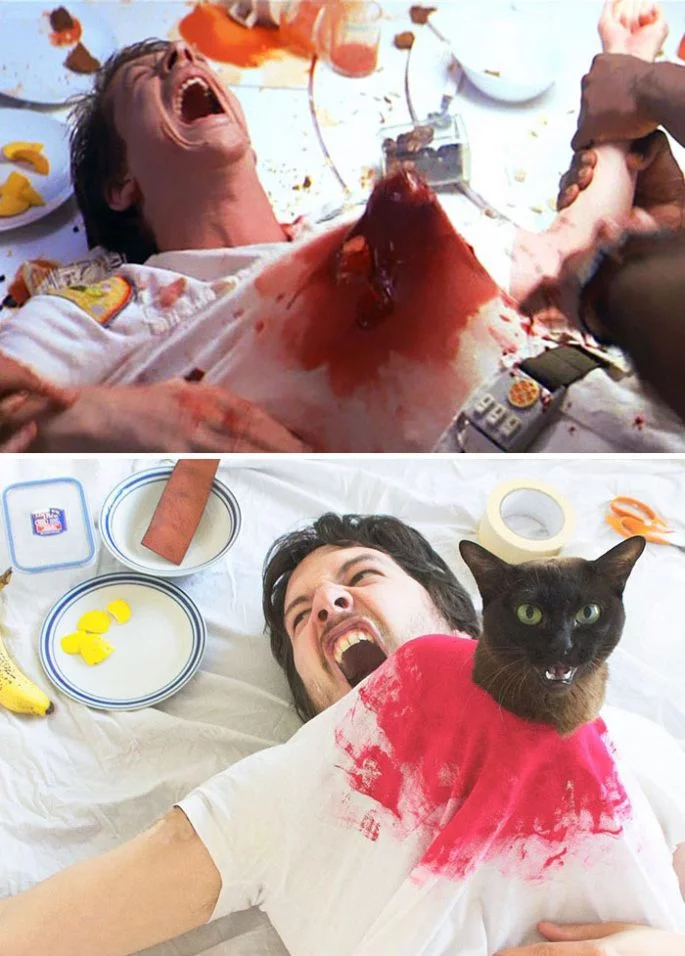 5cat-19-685x956.webp