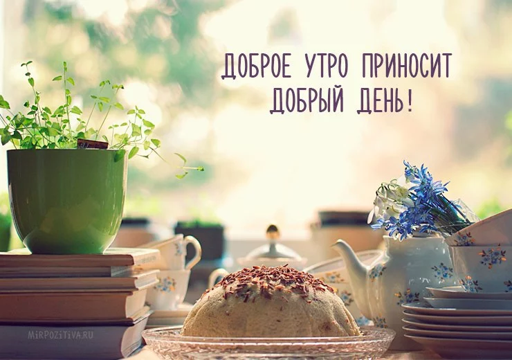 5ccbae.webp
