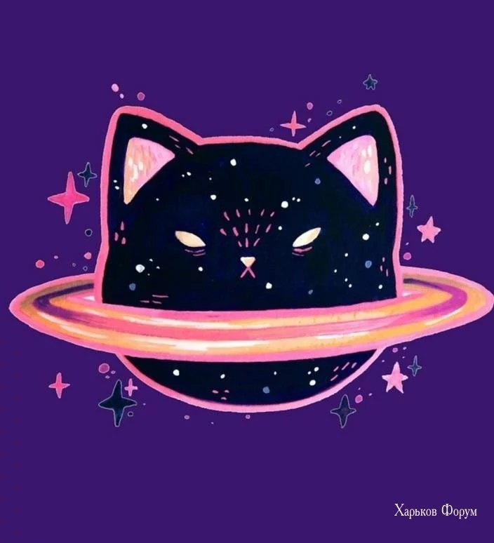 5cceb865e262b32e39fe.webp