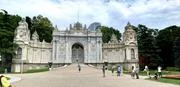 5cjdbg.webp