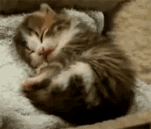 5d20142a7d0b4ed65a.gif
