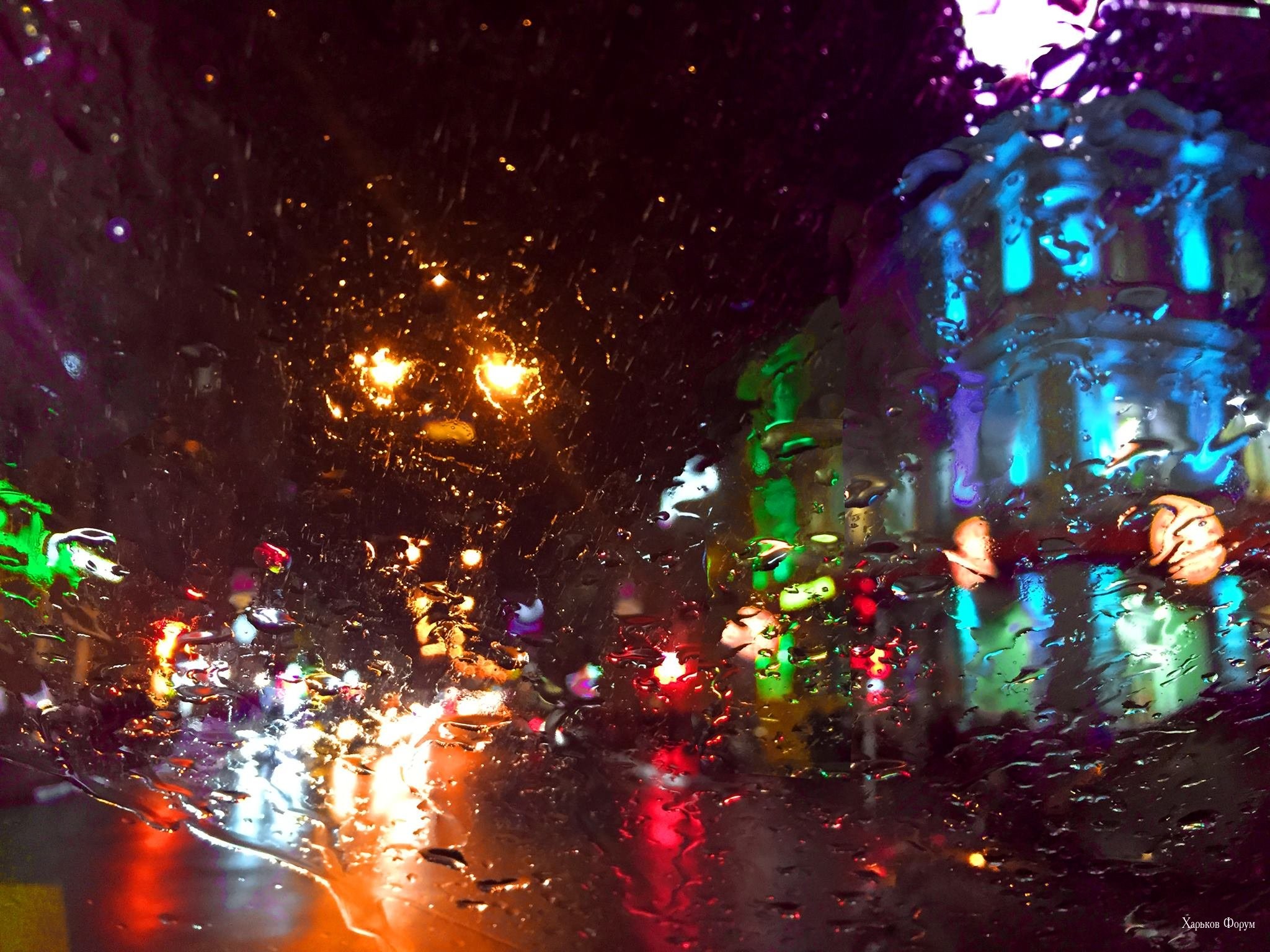 5d33fdc15ee747d76.jpg