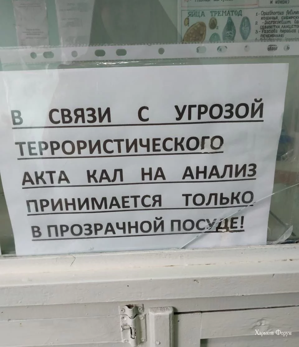 5d370454a75753df.webp