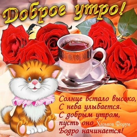 5d3f5a4aef2e1237c8cc.jpg