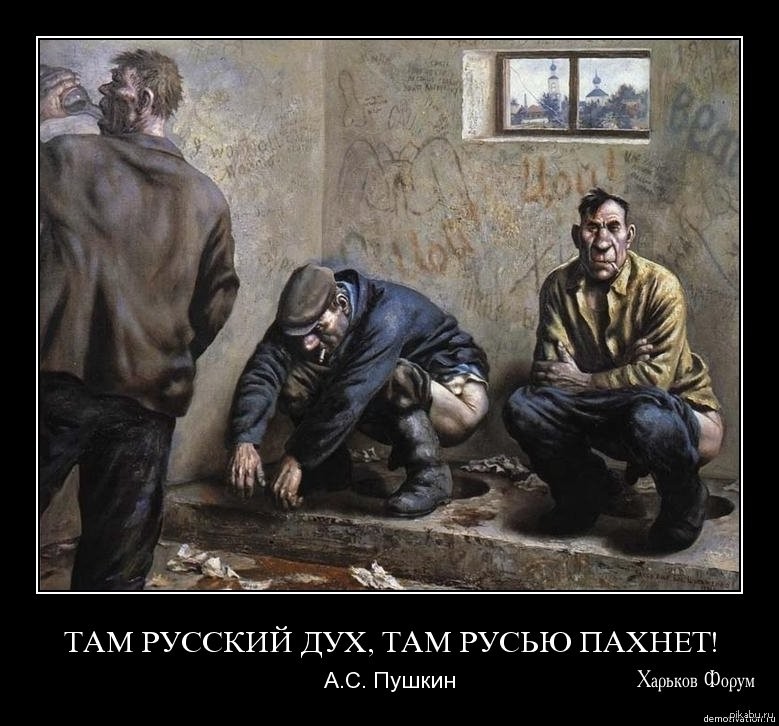 5d43dbf743d370655849d42b.jpg