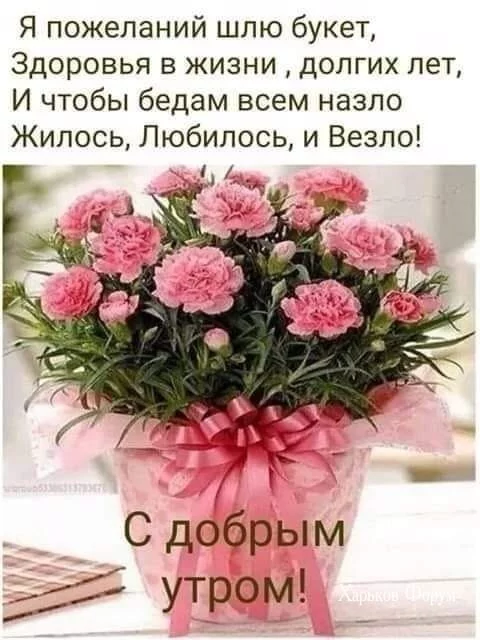 5d4ae5e2d7eabb6cafba516a.webp