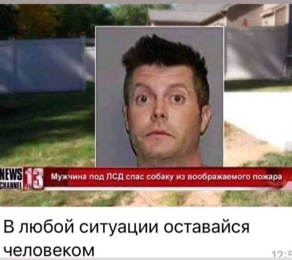5d4db7941cf3755595f6.webp