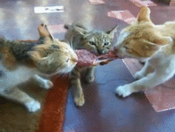 5d67db42d5c302fe90a60062.gif