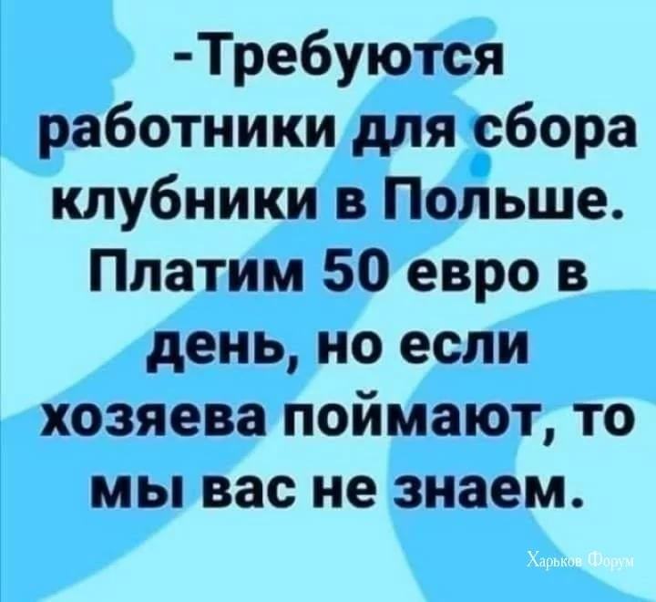 5d74a530d420c3f1.webp