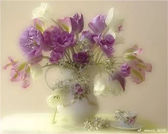 5d8ab14ebf1b6433673226d52a9f7d18.webp