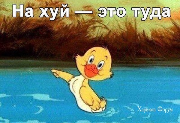 5d9ac8e8d68c79f24.jpg