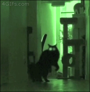 5da3c324c9e6957e9.gif
