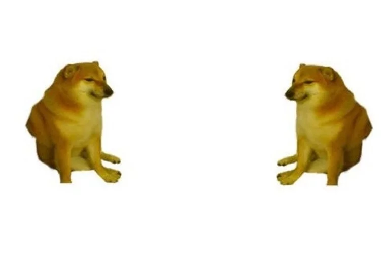 5da6b7d796c7a22f0adce5f5.webp