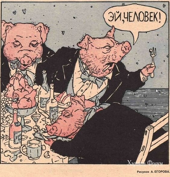 5da8b40ce7686145b4fed.jpg