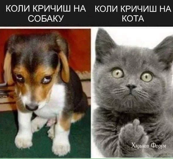 5db2934923fcd13059fc.webp