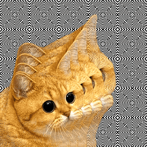5db6857e71b61812fa5a214851ad36db.gif