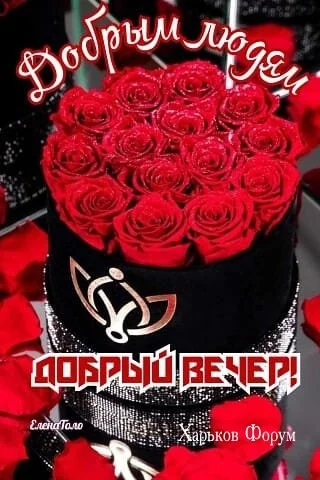 5db7067dea9a00e9faa2ce.webp